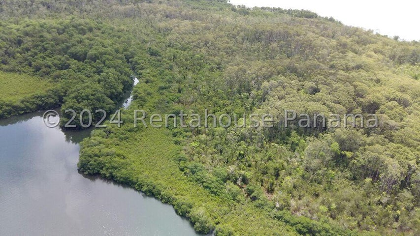Land for Sale in Bocas Del Toro Bocas del Toro 01001